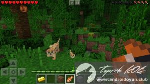 minecraft -pocket-edition-v0-14-3-full-apk-2 